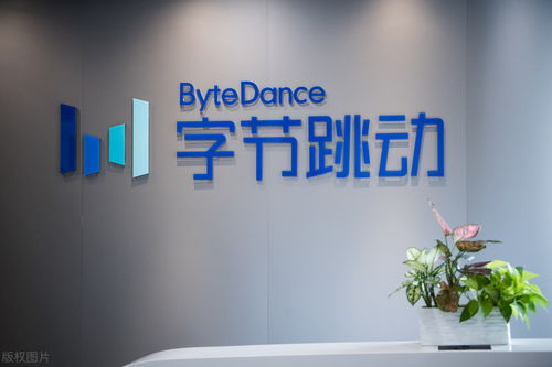 小米朱萌加盟字節穿山甲，擔任中介服務負責人